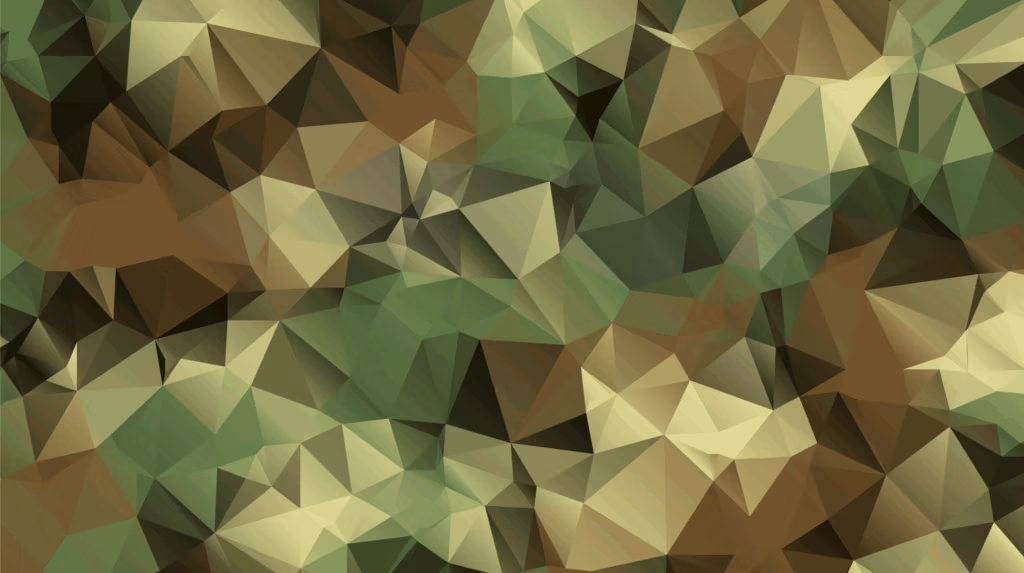 Employer Branding Bundeswehr